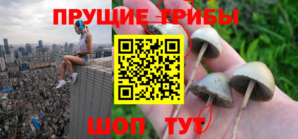 Псилоцибиновые грибы прущие грибы  Вход с VPN  Донской 