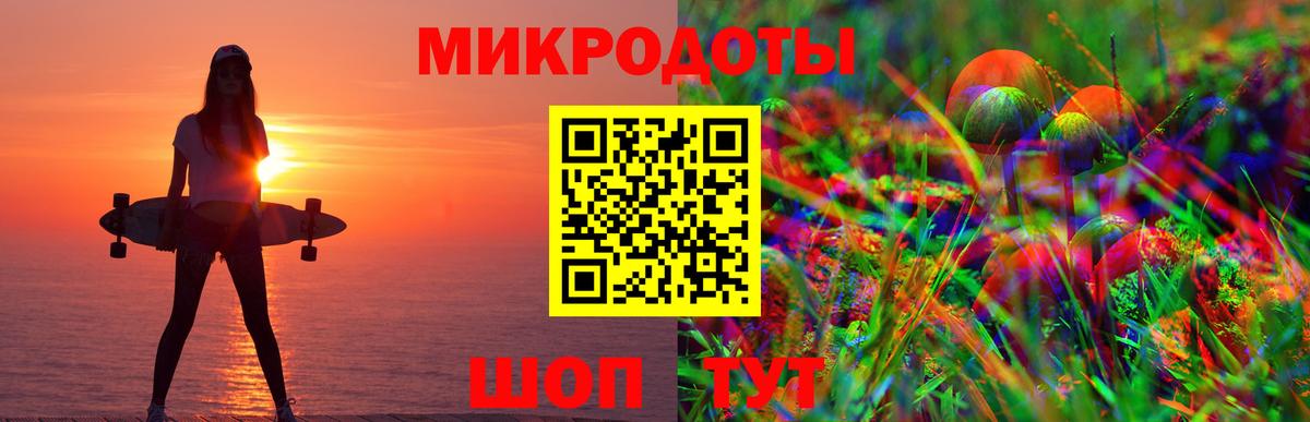 Галлюциногенные грибы Psilocybe Донской