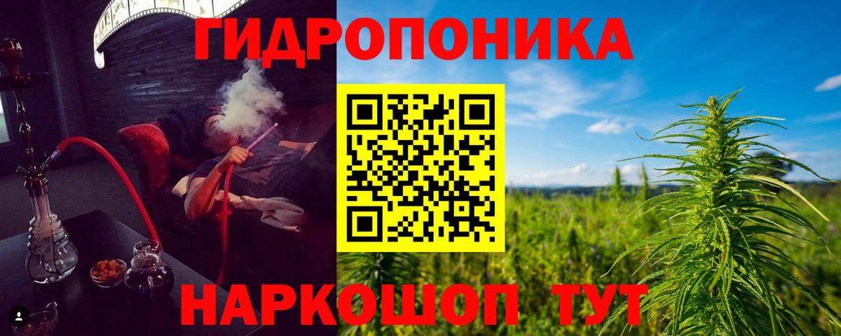 Шишки марихуана марихуана Донской